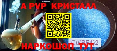 ПСИЛОЦИБИНОВЫЕ ГРИБЫ Камышлов