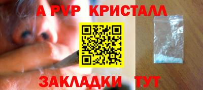 ПСИЛОЦИБИНОВЫЕ ГРИБЫ Камышлов