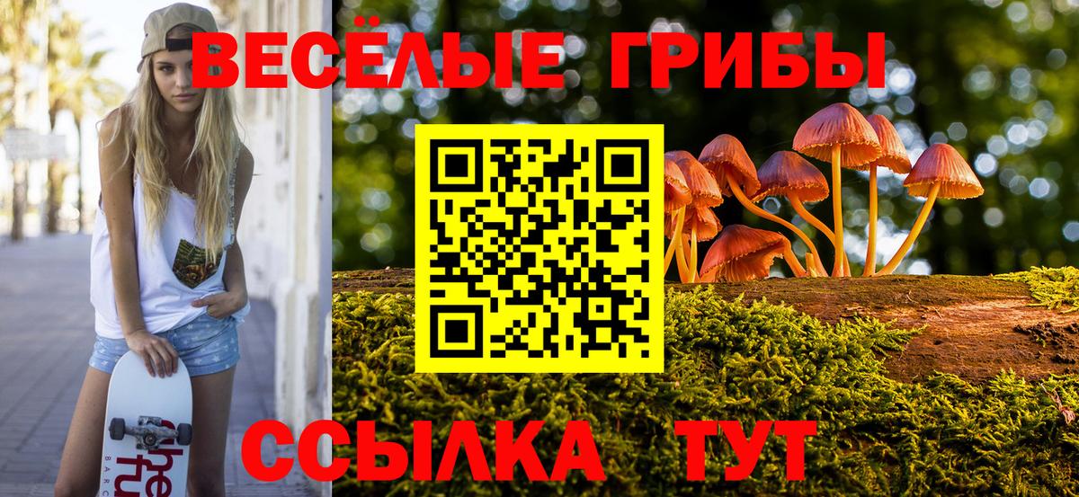 купить закладку  Псилоцибиновые грибы Psilocybe  Вход с VPN  Кулебаки 