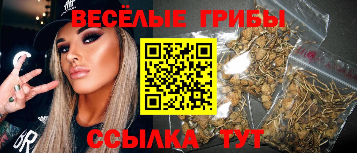 Псилоцибиновые грибы ЛСД Кулебаки